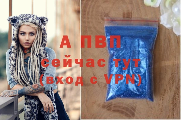 стаф Баксан