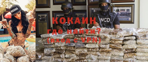 ГАЛЛЮЦИНОГЕННЫЕ ГРИБЫ Тайга