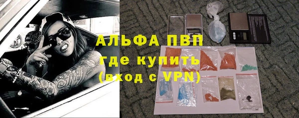 стаф Баксан