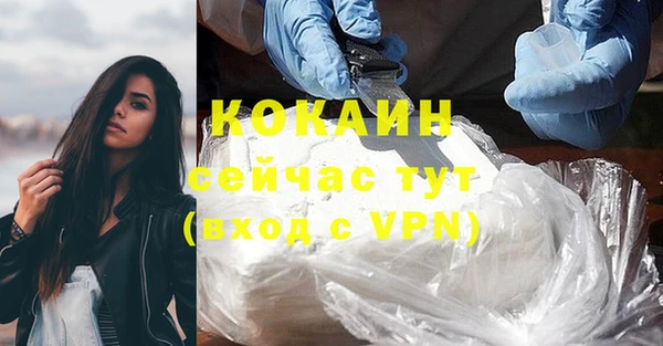ГАЛЛЮЦИНОГЕННЫЕ ГРИБЫ Сясьстрой